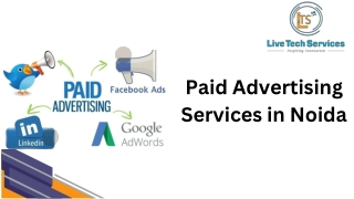 Paid Advertising Services in Noida