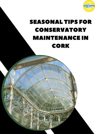 Seasonal Tips for Conservatory Maintenance in Cork