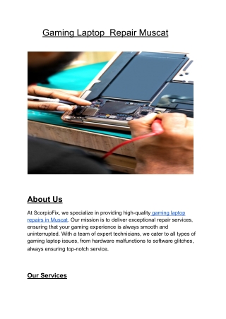 Gaming Laptop  Repair Muscat