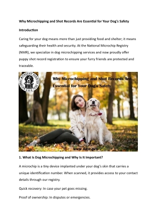 Why Microchipping and Shot Records Are Essential for Your Dog's Safety