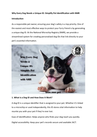 Why Every Dog Needs a Unique ID Simplify Pet Identification with NMR