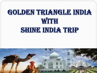 Golden Triangle India with Shine India Trip