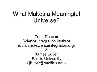 What Makes a Meaningful Universe?