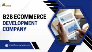 B2C Ecommerce Development Company