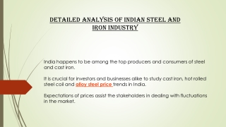 Detailed Analysis of Indian Steel and Iron Industry