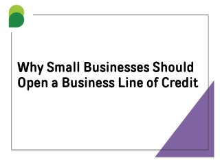 Why Small Businesses Should Open a Business Line of Credit.pptx