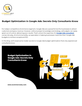 Budget Optimization in Google Ads_ Secrets Only Consultants Know