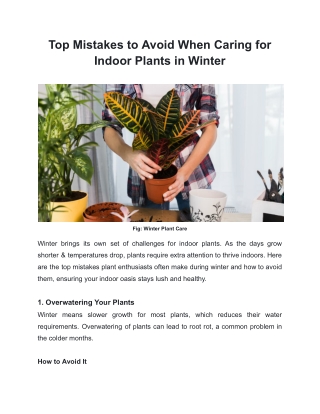 Top Mistakes to Avoid When Caring for Indoor Plants in Winter