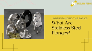 Understanding the Basics What Are Stainless Steel Flanges