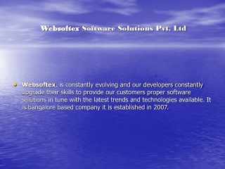 websoftex