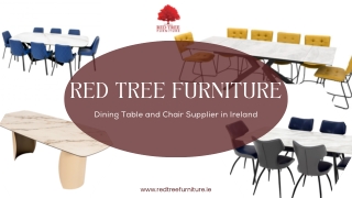 Dining Table and Chair Supplier in Ireland - Red Tree Furniture