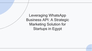 Leveraging WhatsApp Business API - A Strategic Marketing Solution for Startups in Egypt