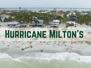 Hurricane Milton's 