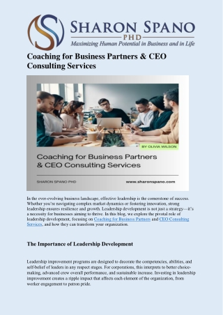 Coaching for Business Partners & CEO Consulting Services