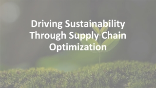 Driving Sustainability Through Supply Chain Optimization