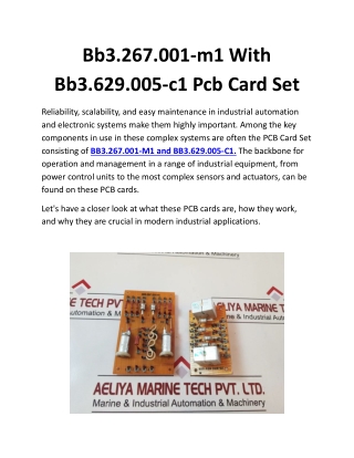 Bb3.267.001-m1 With Bb3.629.005-c1 Pcb Card Set
