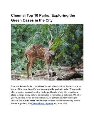 Chennai Top 10 Parks: Exploring the Green Oases in the City