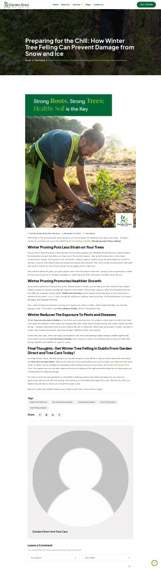 Preparing for the Chill How Winter Tree Felling Can Prevent Damage from Snow and Ice