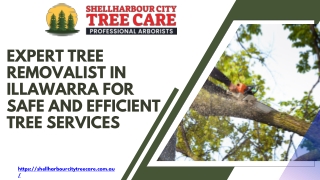 Expert Tree Removalist in Illawarra for Safe and Efficient Tree Services