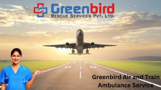 Book Premium Health Transportation with Greenbird Air and Train Ambulance Service in Rewa