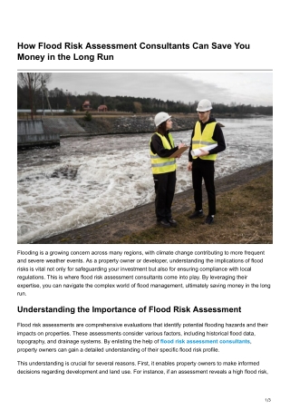 How Flood Risk Assessment Consultants Can Save You Money in the Long Run