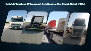 Reliable Trucking & Transport Solutions in Abu Dhabi, Dubai & UAE