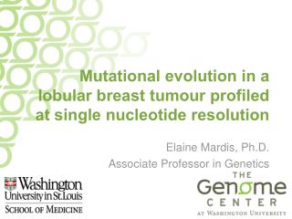 Mutational evolution in a lobular breast tumour profiled at single nucleotide resolution