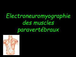Electroneuromyographie des muscles paravertébraux