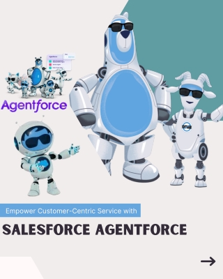 Empower Customer-Centric Service with Salesforce Agentforce