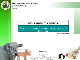 UNIVERSIDAD CENTRAL DE VENEZUELA Facultad de Agronomía Departamento de Producción Animal Maracay
