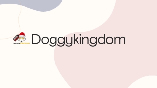 Discover Premium Dog Accessories at Doggykingdom - Shop Online for Quality Pet P