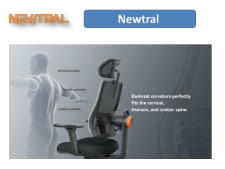 Get the Best Ergonomic Desk Chair for Home Back Pain Relief