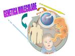 GENETICA MOLECOLARE