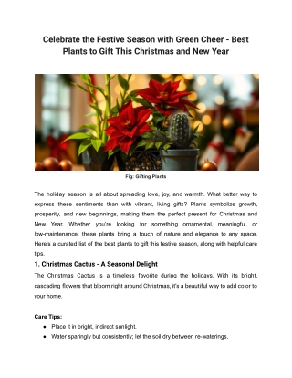 Celebrate the Festive Season with Green Cheer - Best Plants to Gift