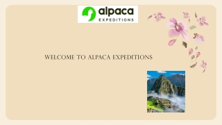 Experience the Thrill of Machu Picchu Mountain with Alpaca Expeditions