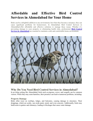 Affordable and Effective Bird Control Services in Ahmedabad for Your Home