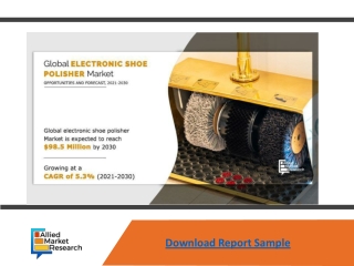 Electric Shoe Polisher Market to Reach $98.5 Mn, Globally, by 2030