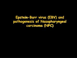 Epstein-Barr virus ( EBV ) and pathogenesis of Nasopharyngeal carcinoma ( NPC)