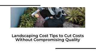 Landscaping Cost Tips to Cut Costs Without Compromising Quality