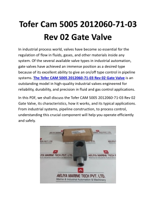 Tofer Cam 5005 2012060-71-03 Rev 02 Gate Valve