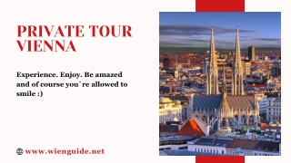 Private Tour Vienna: Experience the Heart of the City