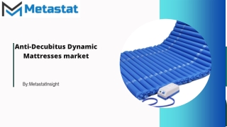Anti-Decubitus Dynamic Mattresses market