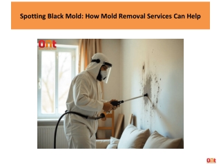 Spotting Black Mold: How Mold Removal Services Can Help