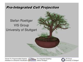 Pre-Integrated Cell Projection