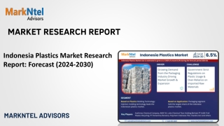 Indonesia Plastics Market Research Report: Forecast (2024-2030)