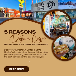 5 Reasons Dogtown Coffee Is Santa Monica’s Ultimate Winter Hangout