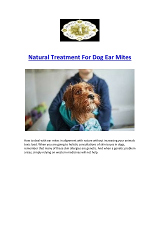 Natural Treatment For Dog Ear Mites