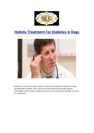 Holistic Treatment For Diabetes in Dogs