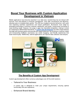 Boost Your Business with Custom Application Development in Vietnam