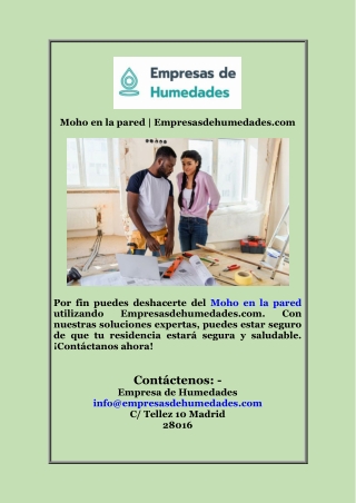 Moho en la pared  Empresasdehumedades com